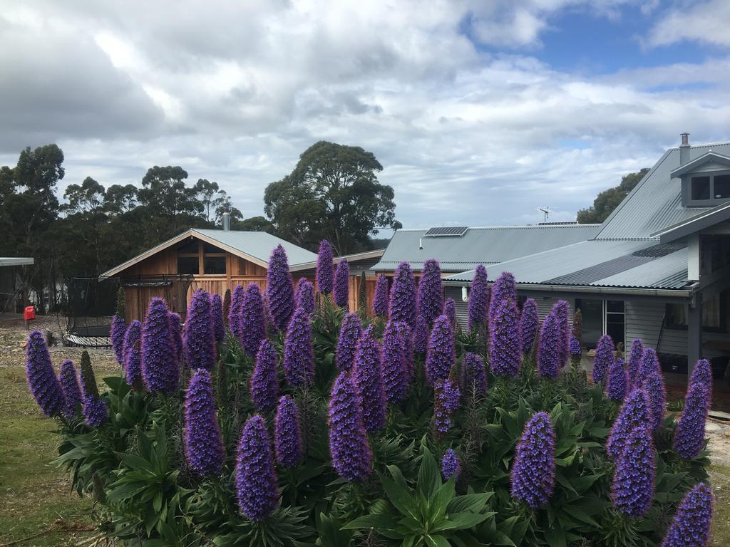 Bruny Island Lodge South Bruny Kültér fotó